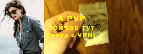 тгк Верея