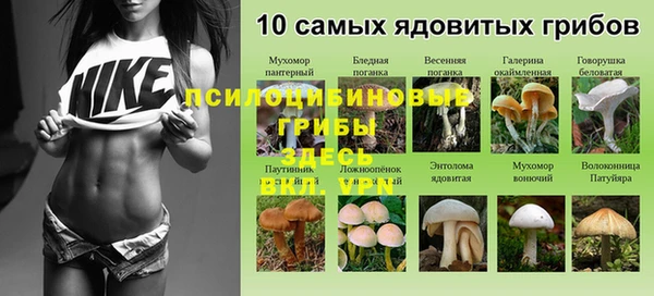 тгк Верея